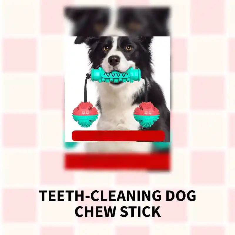 Teeth-Cleaning Dog Chew Stick by@Outfy